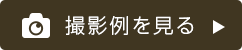 撮影例を見る